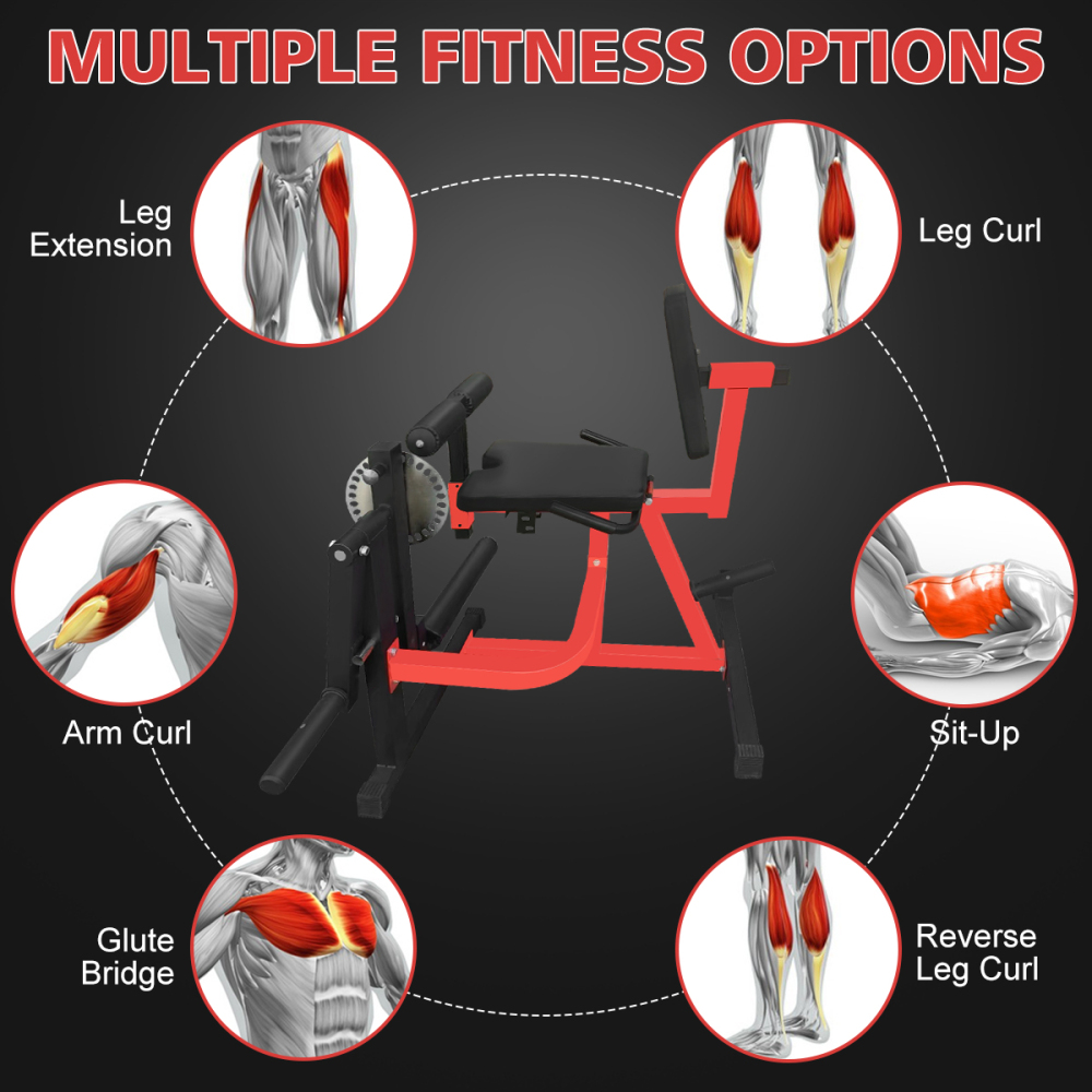 Verstelbare beenextensie- en c - Home Gym Leg Extension Machine recensie en prijs