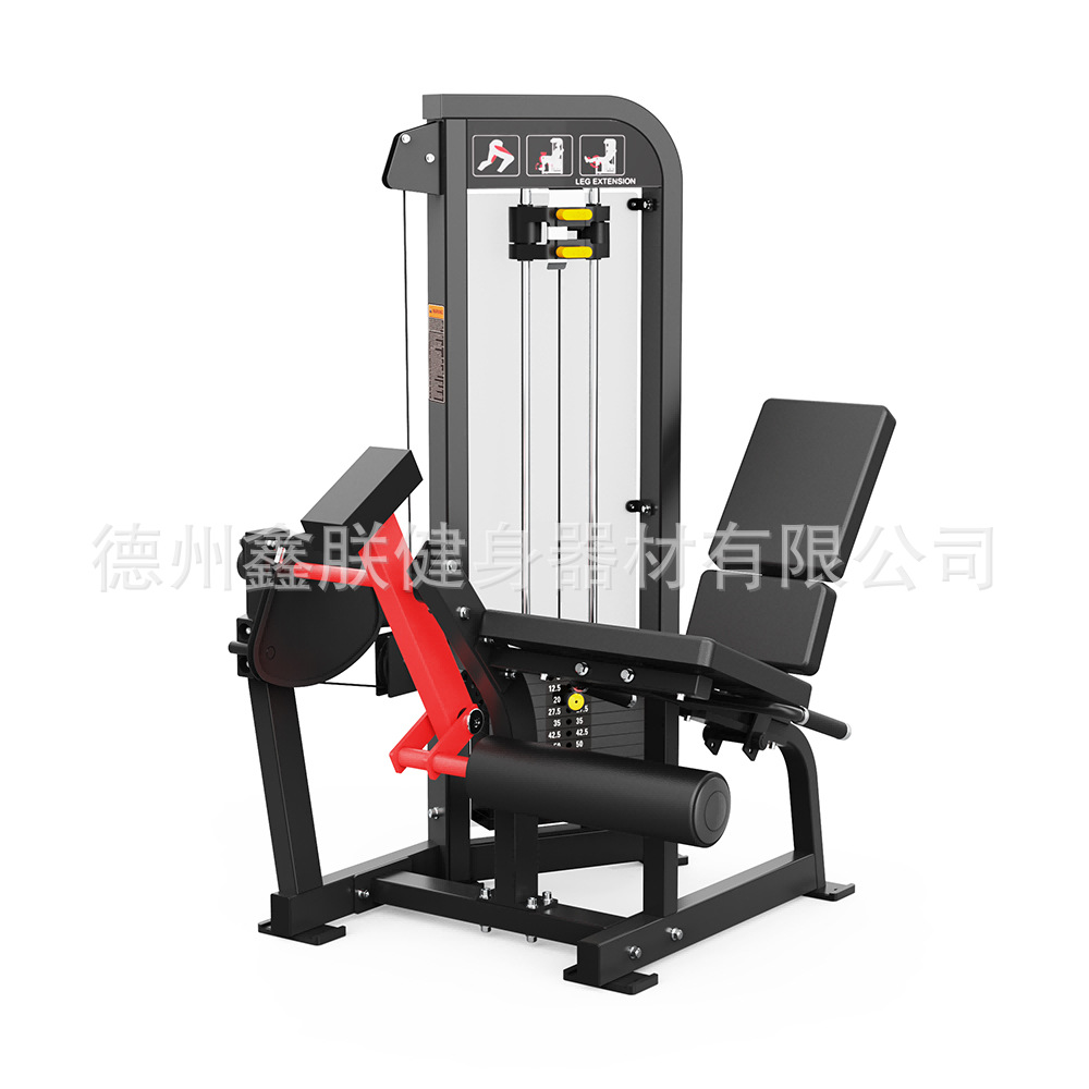Gym Hammer Strength apparatuur - Home Gym Leg Extension Machine recensie en prijs